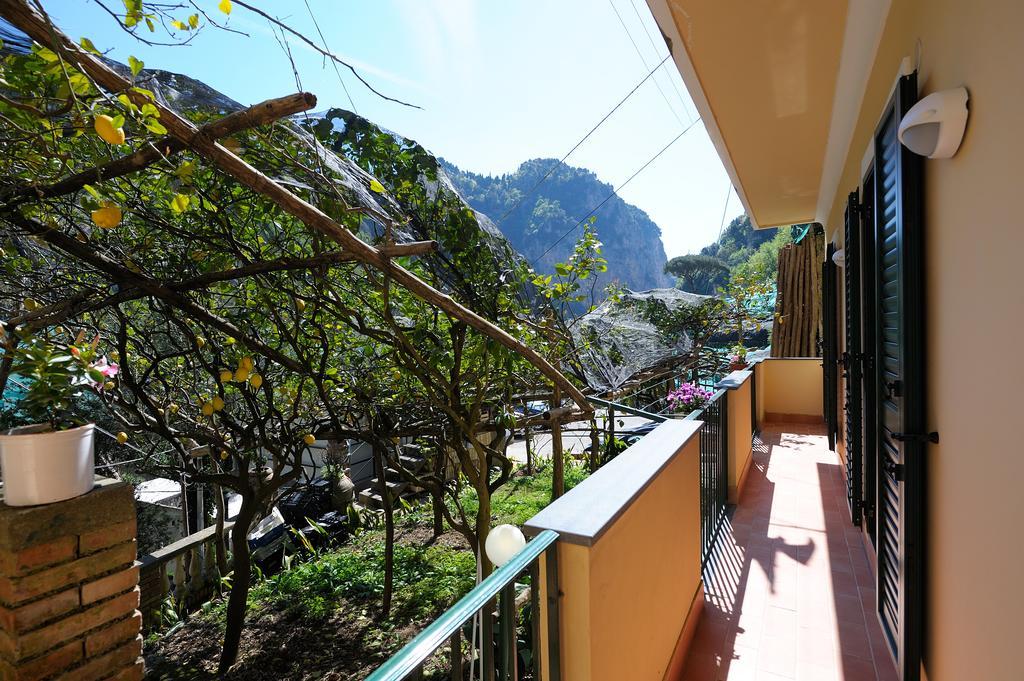 Lemon Garden Leilighet Amalfi Rom bilde